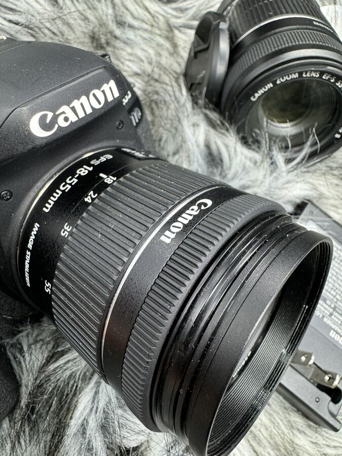 Canon EOS 77D 24.2 MP Digital SLR Camera with EF-S 18-55mm & EF-S 55-250mm Lenses